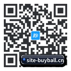 系统版 iOS 二维码